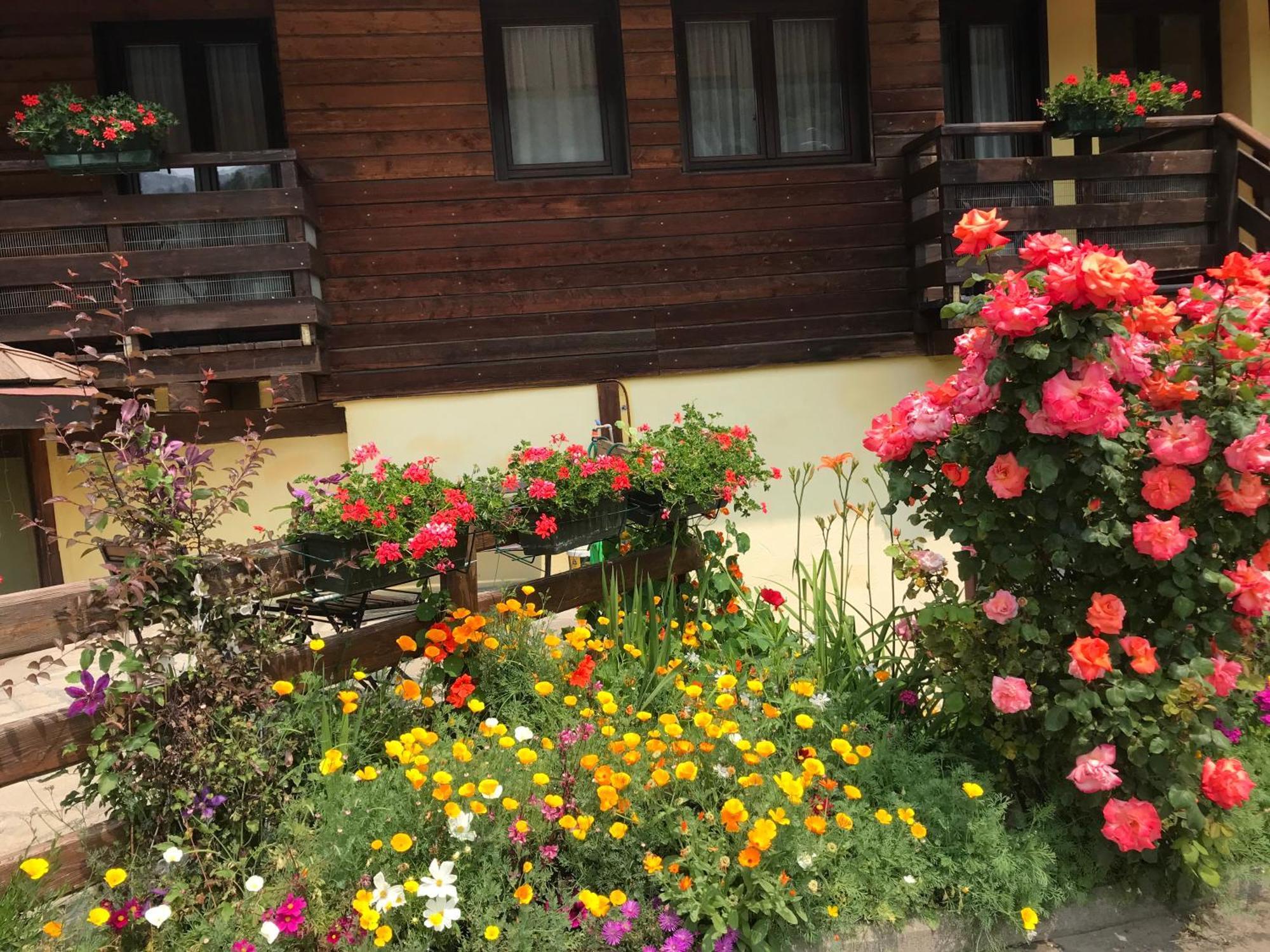 Hotel Cà Fiore Bardonecchia Exterior foto